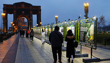 ДНЮ ВОЙСК РХБЗ, ПОСВЯЩАЕТСЯ…