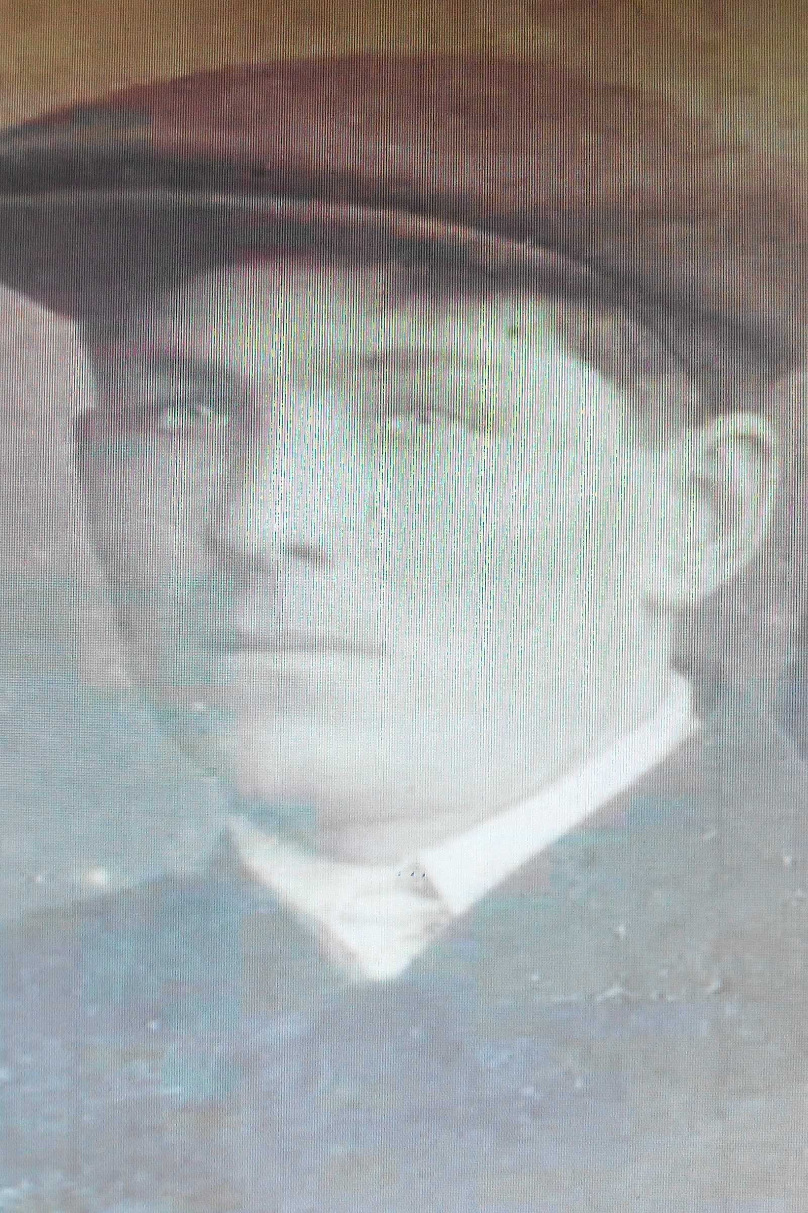 Полещук(Дети войны Моисеевич