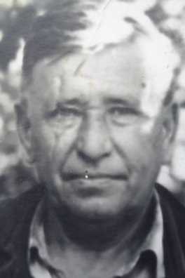 Петин Александр Ильич