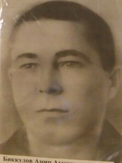 Биккулов Амир Ахметгарифович