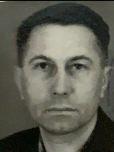 Подстрижень Дмитрий Иванович