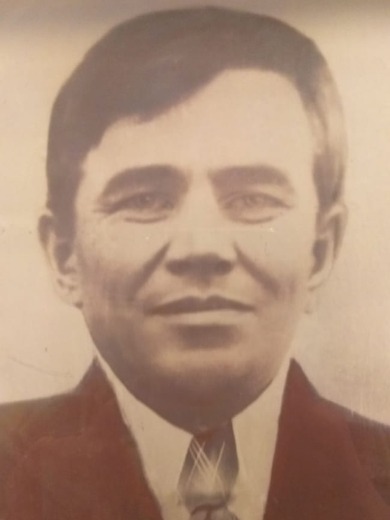 Вязовиков Егор Дмитриевич