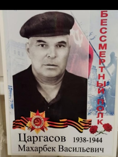 Царгасов Михаил Васильевич