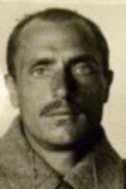 Шершнев Михаил Тихонович