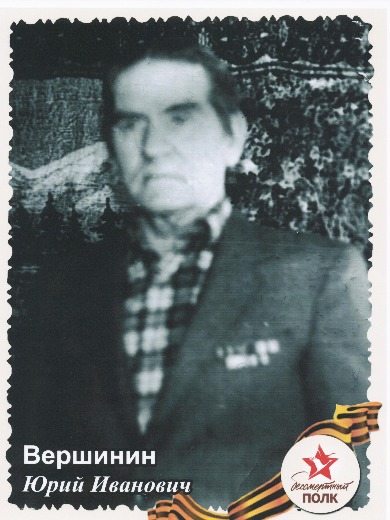 Вершинин Юрий Иванович