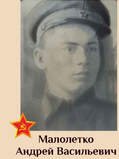 Малолетко Андрей Васильевич