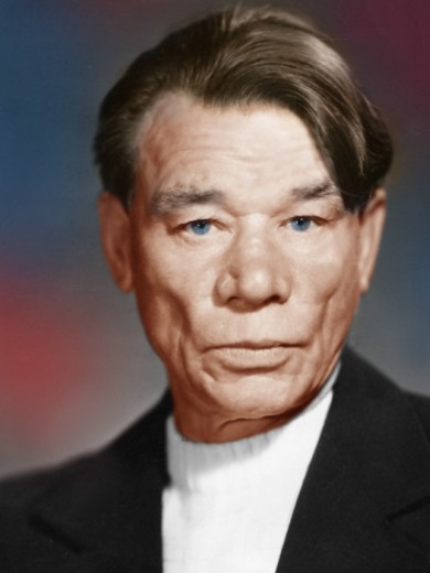 Никитин Николай Степанович