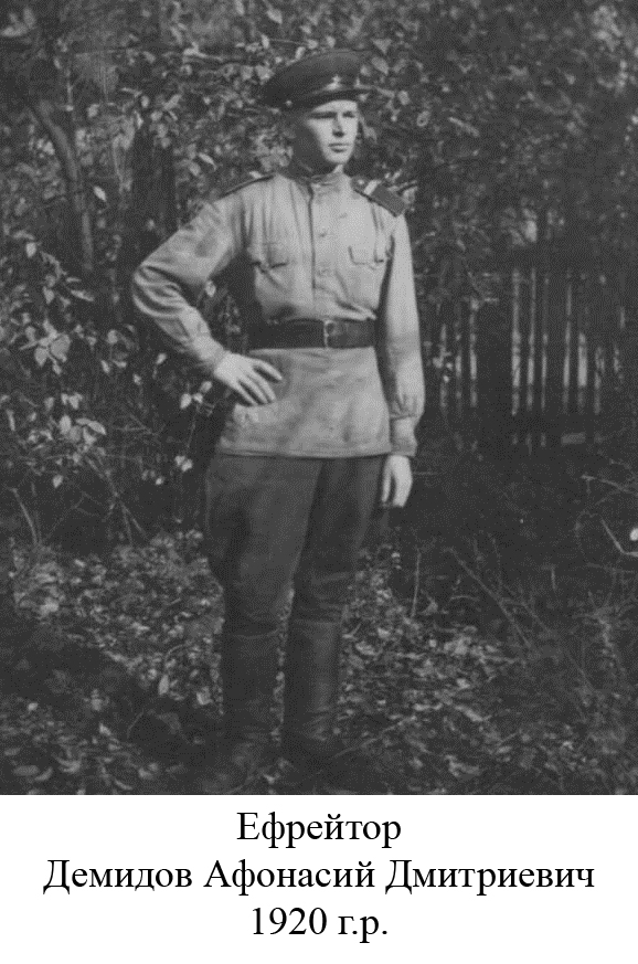 Демидов Афонасий Дмитриевич