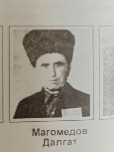 Магомедов Далгат