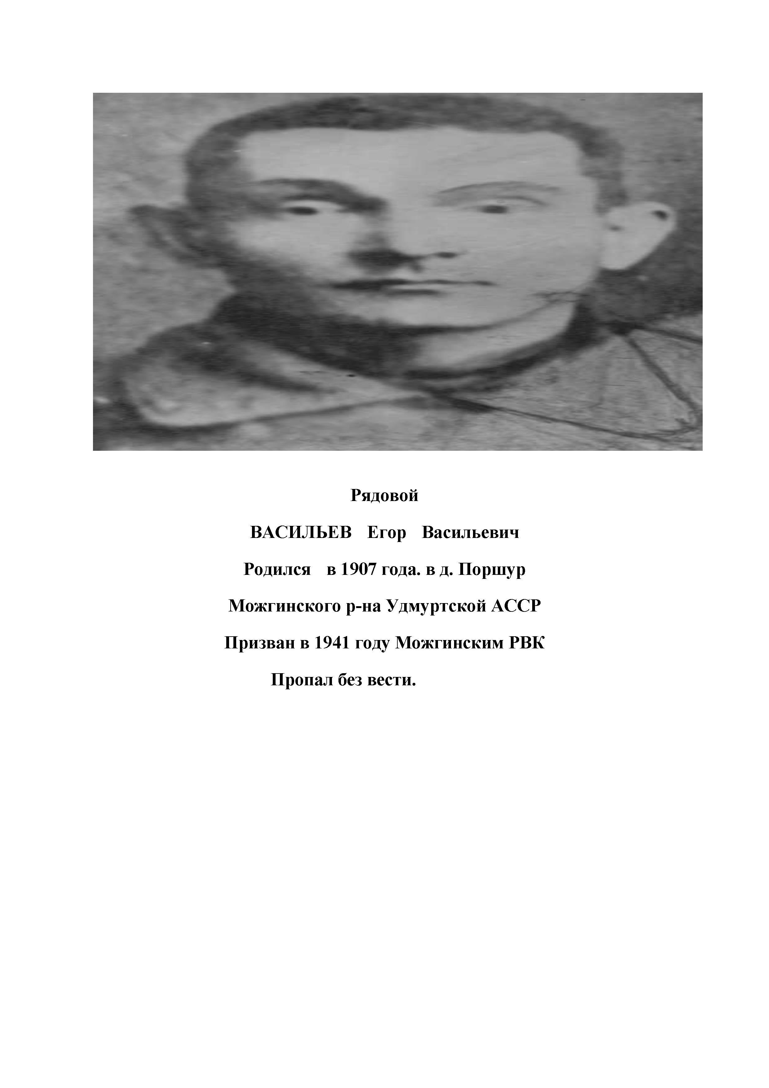 Васильев Егор Васильевна