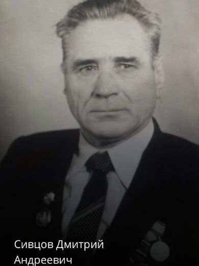 Сивцов Дмитрий Андреевич
