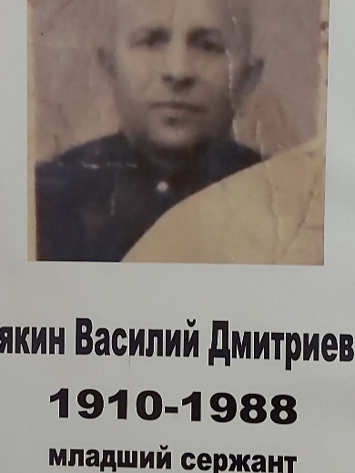 Трякин Василий Дмитриевич