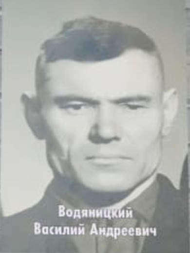 Водяницкий Василий Андреевич