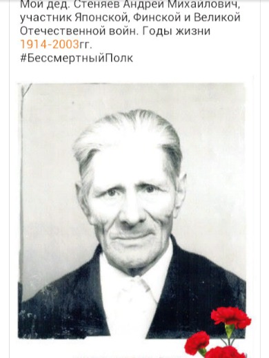 Стеняев Андрей Михайлович