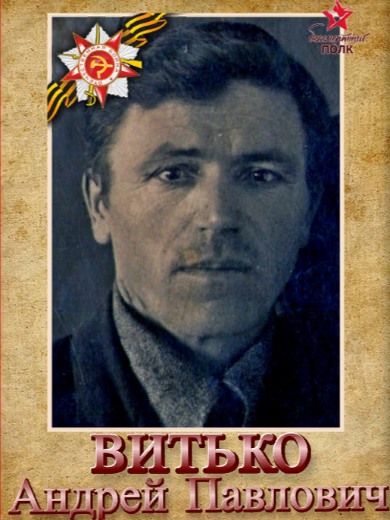 Витько Андрей Павлович