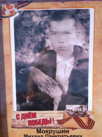 Мокрушин Михаил Панкратьевич