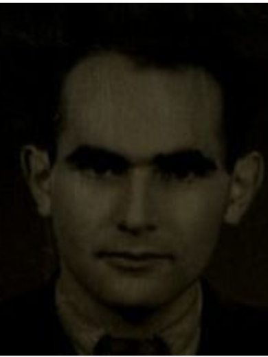 Рабинович (Черняков) Илья Вольфович (Владимирович)