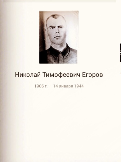Егоров Николай Тимофеевич