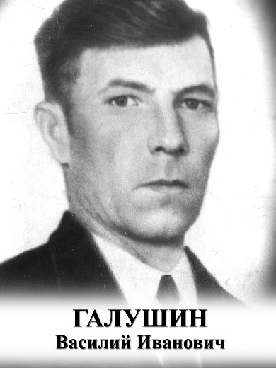 Галушин Василий Иванович