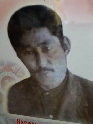 Васильев Ефим Петрович