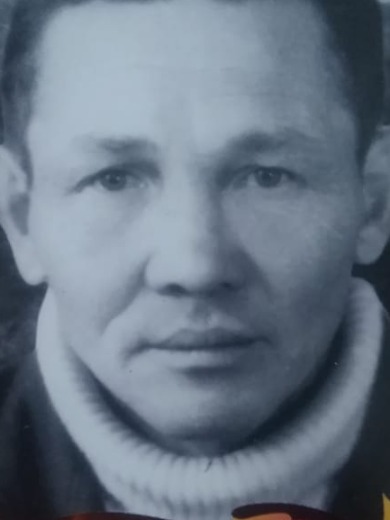 Шамин Владимир Николаевич