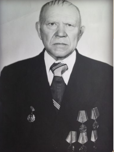 Елисеев Дмитрий Васильевич