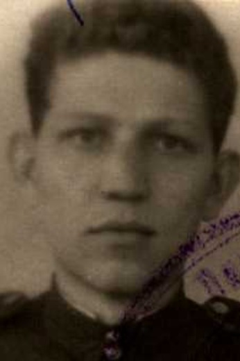 Воловодовский Ефим Моисеевич|Мойсеевич