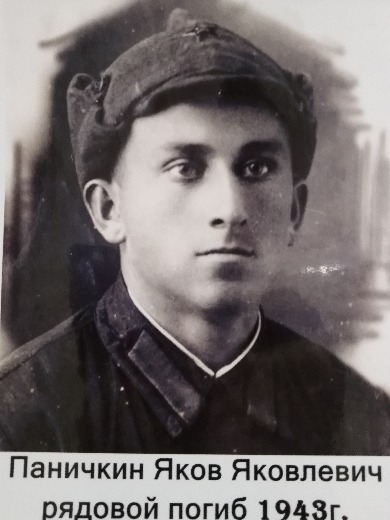 Паничкин Яков Яковлевич