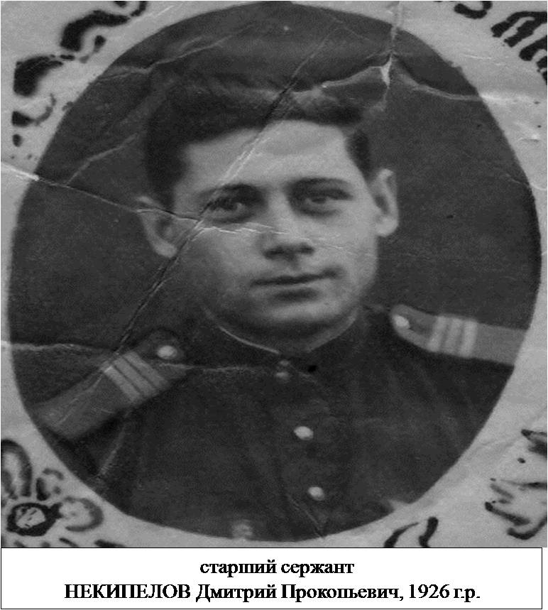 Некипелов Дмитрий Прокопьевич