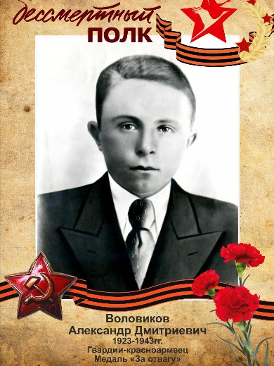Воловиков Александр Дмитриевич