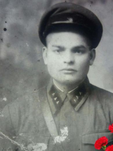 Чаплыгин Петр Ильич