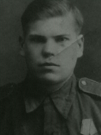 Горних Александр Петрович