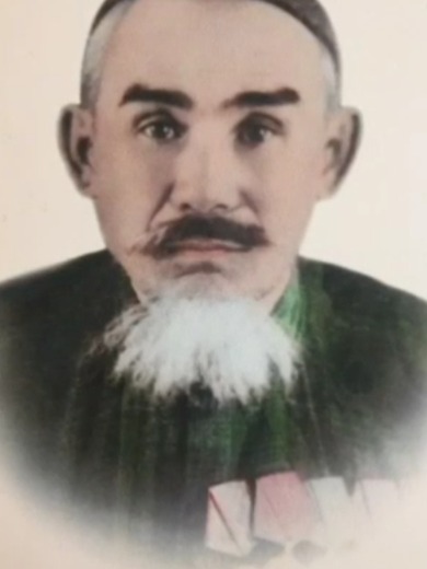 Бектемисов Булгын