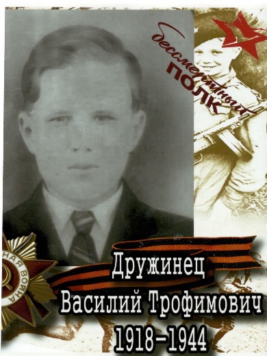 Дружинец Василий Трофимович