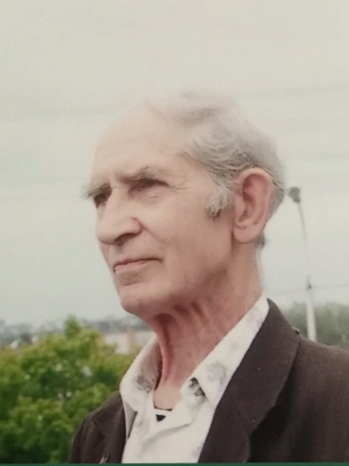 Вдовыкин Двигамир Петрович