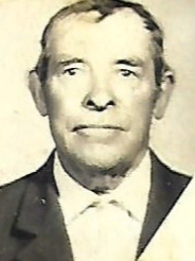 Безгинов Александр Семенович