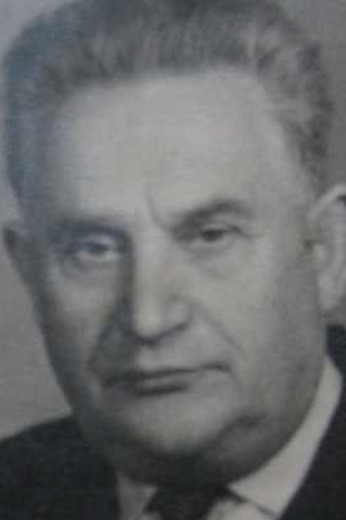 Ровин Андрей Иванович