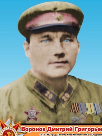 Воронов Дмитрий Григорьевич
