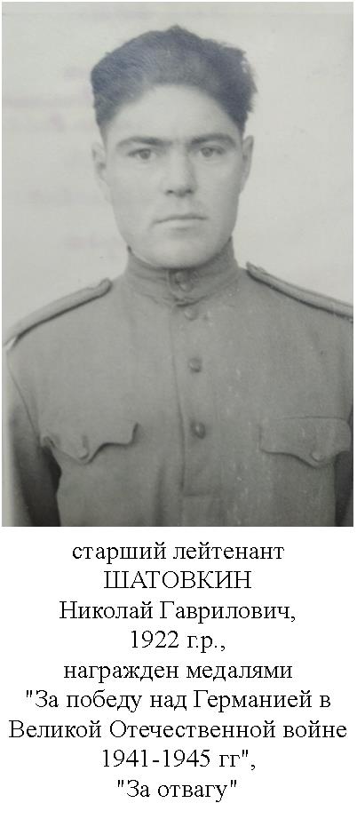 Шатовкин Николай Гаврилович