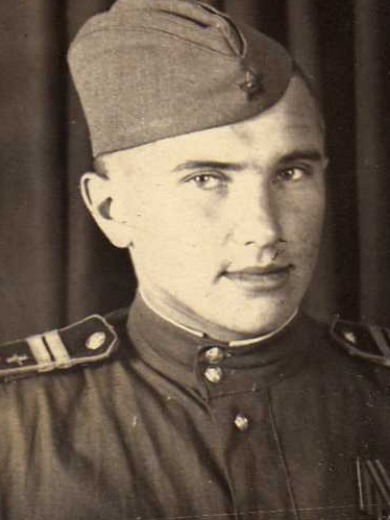 Шульгин Владимир Иванович