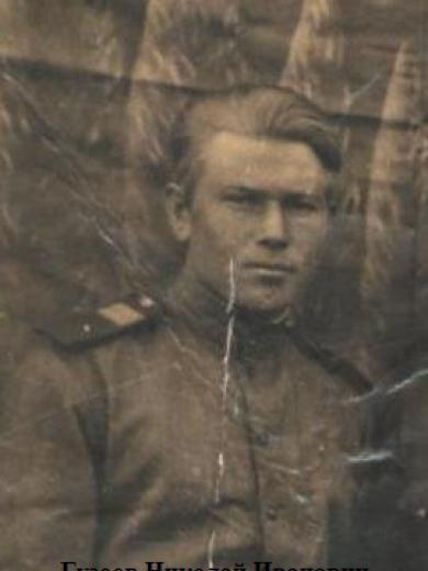 Гузеев Николай Иванович