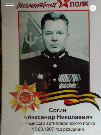 Согин Александр Николаевич