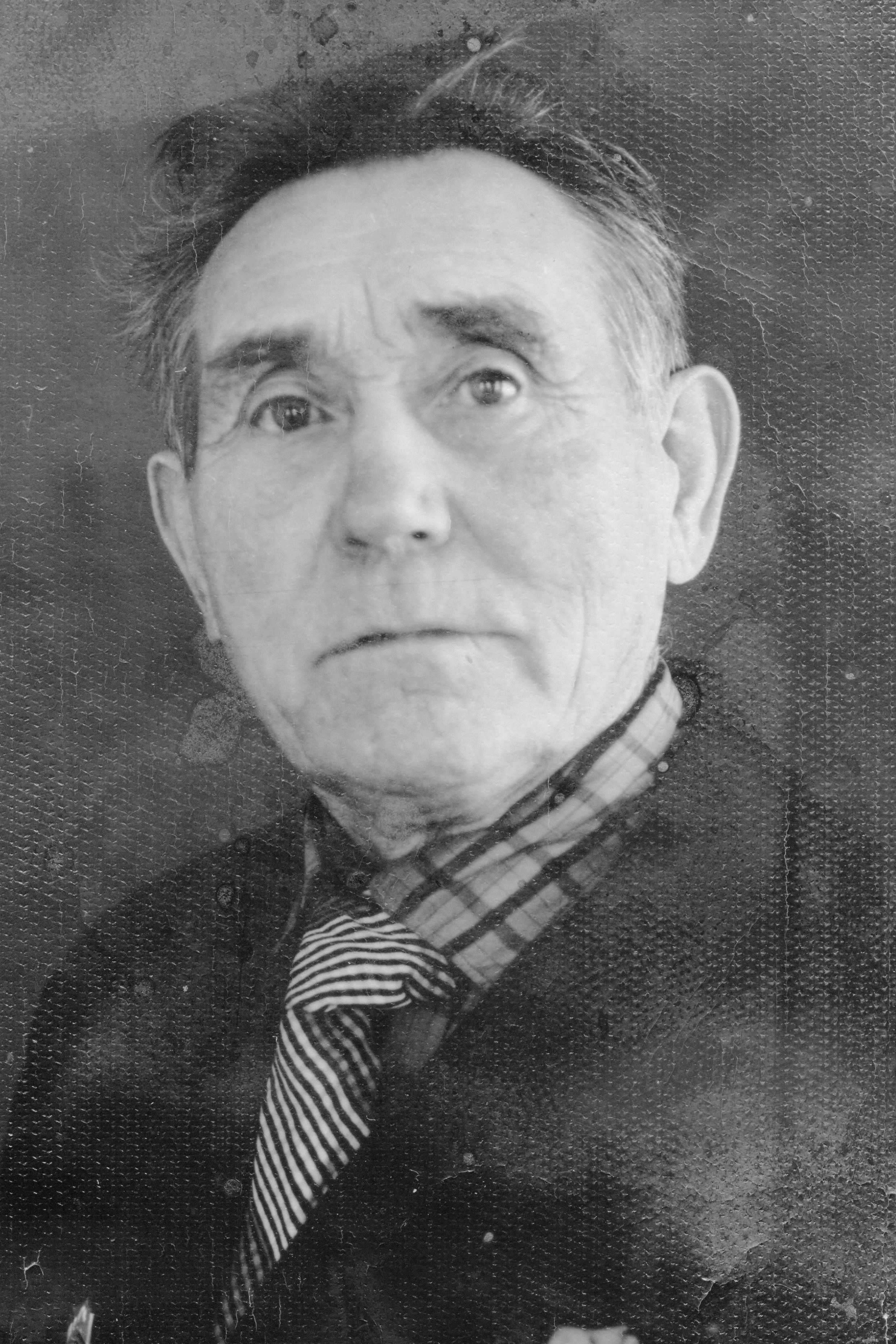 Шевелев Дмитрий Афанасьевич