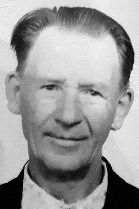 Шершнев Владимир Петрович