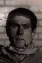 Шелуха Никита Иванович