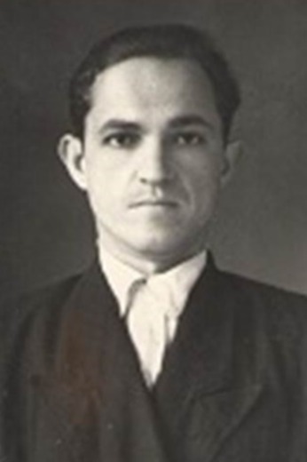 Синеоков Дмитрий Михайлович