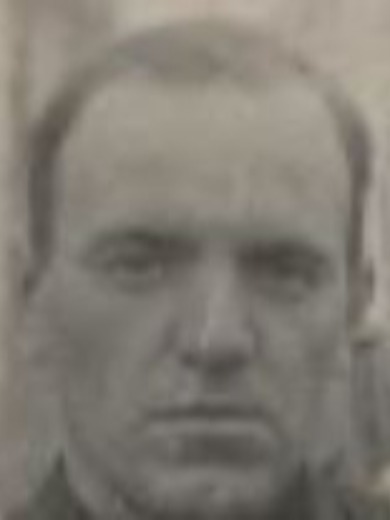 Никулин Николай Сергеевич