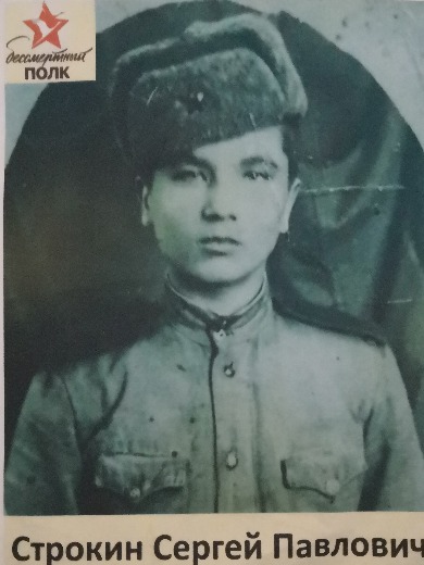 Строкин Сергей Павлович