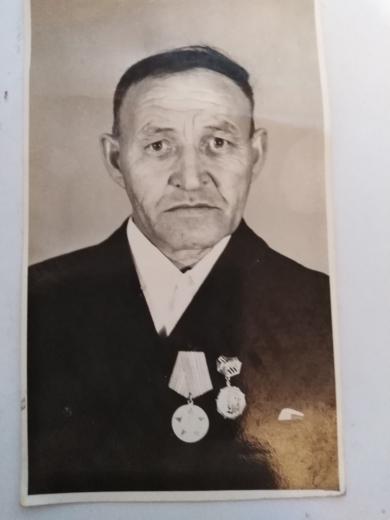 Мамаев Афанасий Николаевич