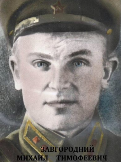 Завгородний Михаил Тимофеевич